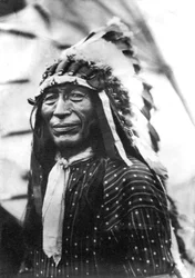 Buffalo Nickel Portret